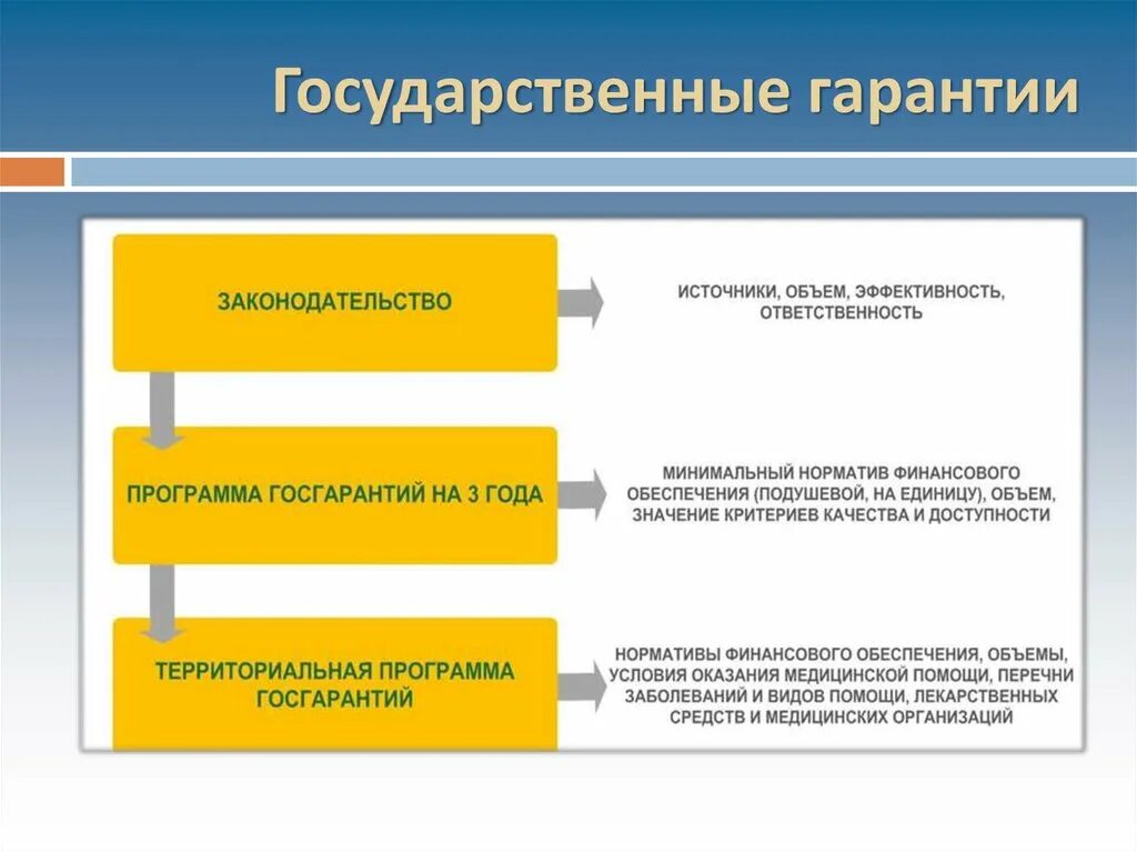 Государственные гарантии. Государственная гарантия пример. Государственные и муниципальные гарантии. Государственные гарантии перечислить.