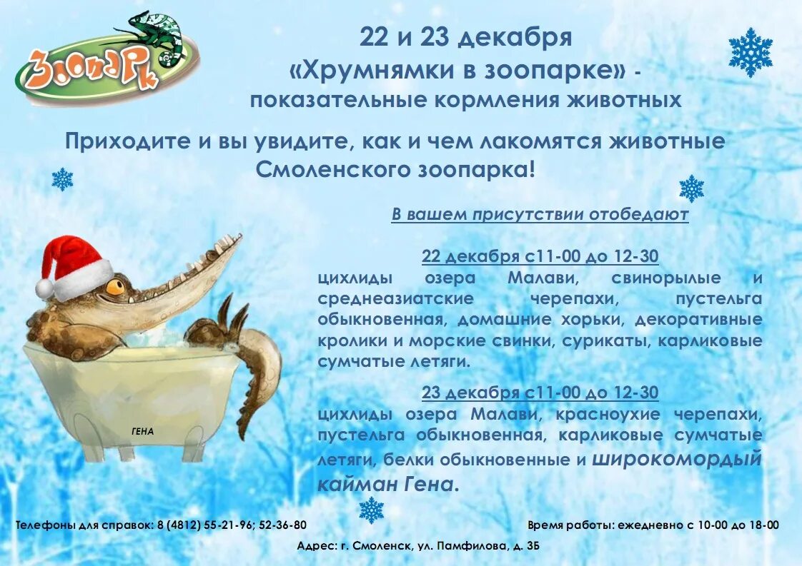 Расписание кормления животных. Показательные кормления в зоопарке. показательные кормления в зоопарке москва. зоопарк расписание кормления животных. афиша смоленск зоопарк.