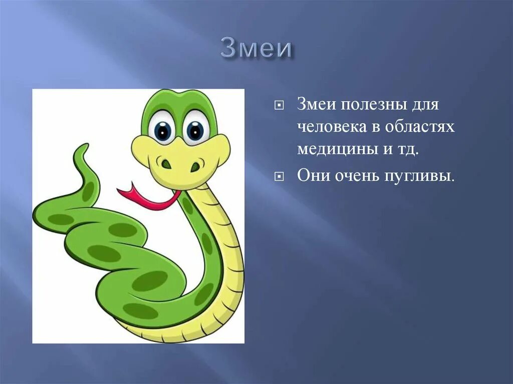 Змейка 4 класс. Загадка змея для детей. Загадка про змею. Загадки о змеях. Загадка про змею для детей.