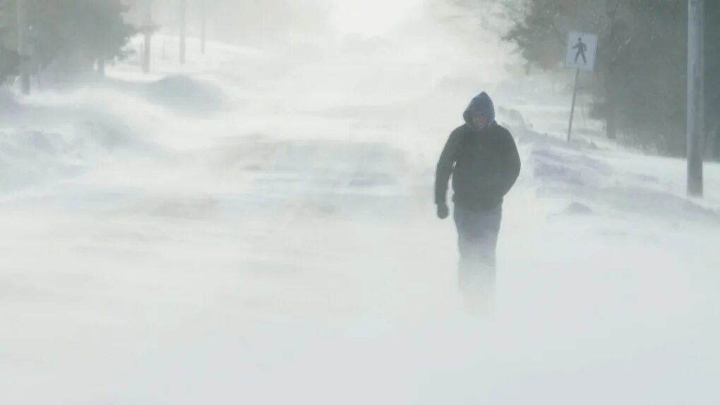 Walking snow rum перевод. Walking through Snow Storm. Снежный шторм промо страница для новичков. A man in a Snowstorm Art. @Mavynoc:a walk through a Snowstorm.