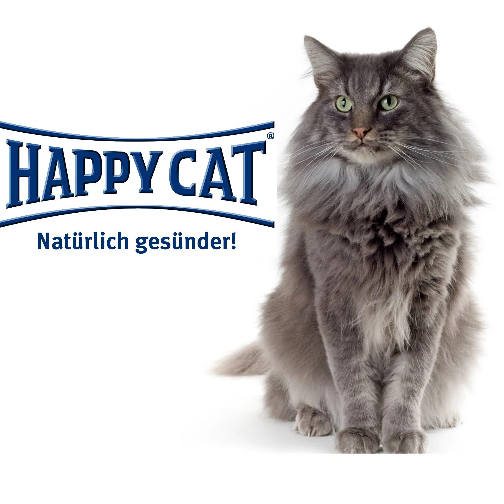 Корм Happy Cat. Хэппи Кэт каталог. Happy Cat баннер. Hoppy hoppyccot. Cat is happy