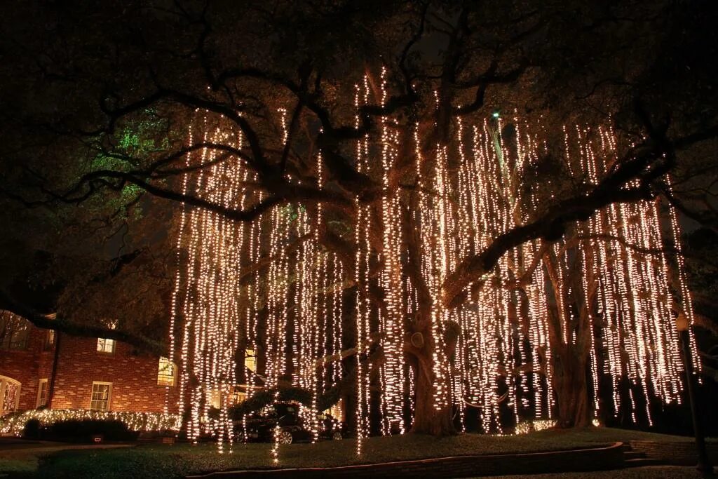 Подсвечивание снизу деревьев. Украшение деревьев гирляндами. Гирлянда на дереве. Иллюминация деревьев. Светодиодное дерево ива плакучая.