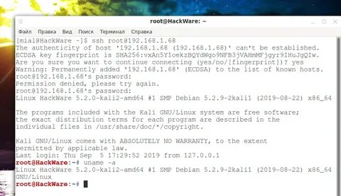 Astra linux ssh