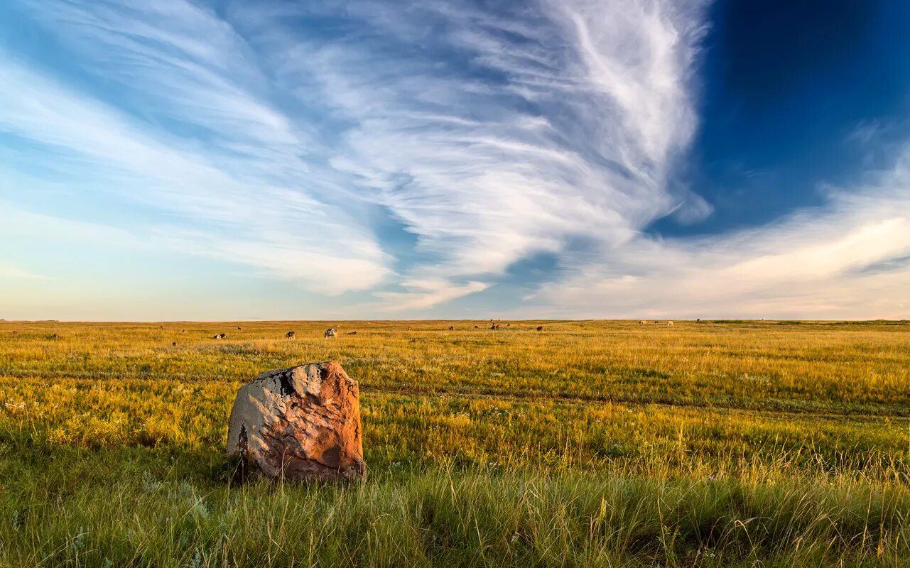 Степи неживая природа. Майэмирская степь. Пейзаж степи. Красивые пейзажи степи. Зона степей.