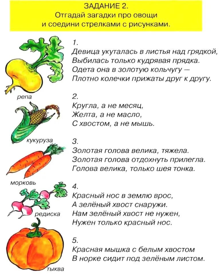 6 загадок про овощи. Загадки для детей 6-7 про овощи с ответами. Загадки про овощи для детей средней группы. Загадки про овощи и фрукты для детей 6-7 лет с ответами. Загадки про овощи для детей 6-7 лет с ответами.