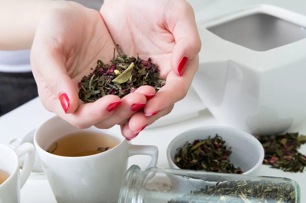 Ест заварку. Зеленый травяной чай. Зеленый чай рассыпной. Чайная заварка в руках. Зеленый чай заварка.