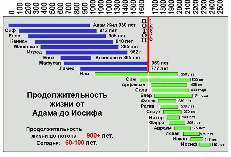 почему раньше люди жили дольше