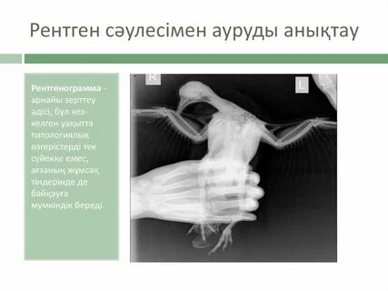 Сүйкімді қыздардың киска суреттері