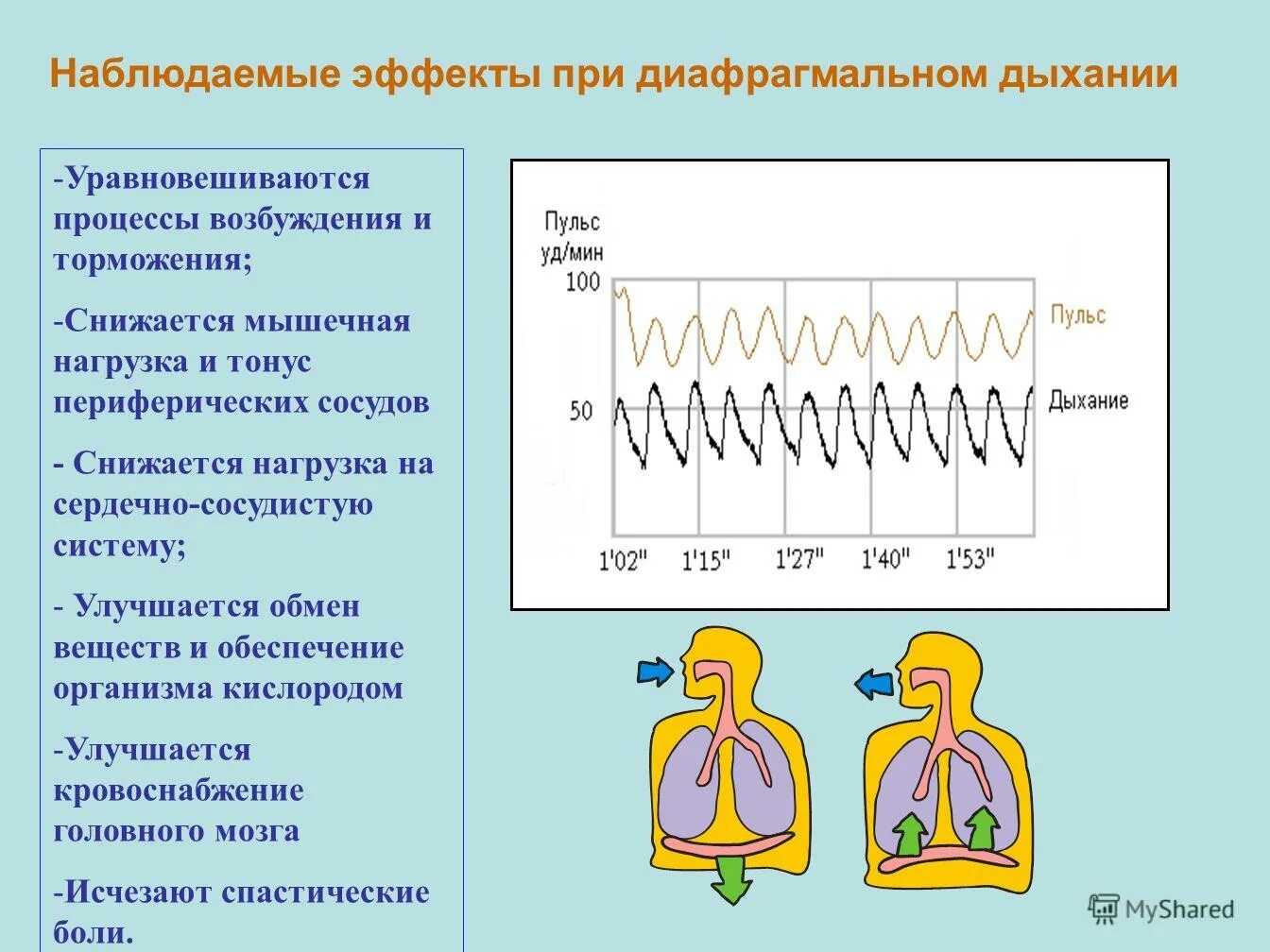 Упражнения для формирования диафрагмального дыхания у детей. Развитие диафрагмального дыхания. Алгоритм правильного дыхания. Продолжительность речевого выдоха у детей. Диафрагмальное дыхание у детей.