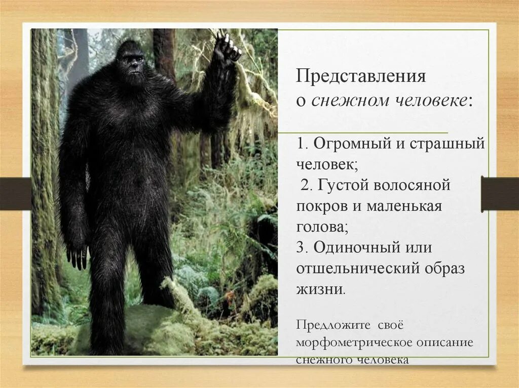 Снежный человек презентация. Густой волосяной Покров у человека. Книги о Снежном человеке. Волосяной Покров большой человек.