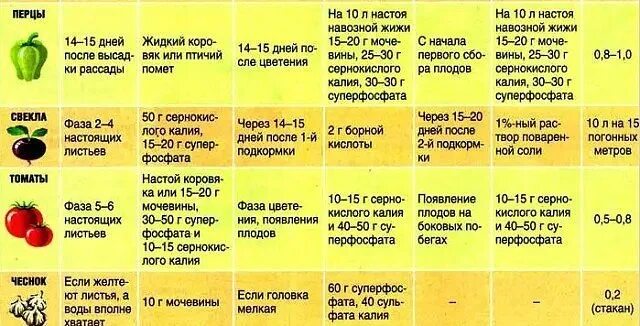 Через сколько 15 июня. Схема подкормки томатов. Таблица внесения удобрений перца. Схема подкормки рассады овощных культур. Подкормка томатов таблица удобрения.