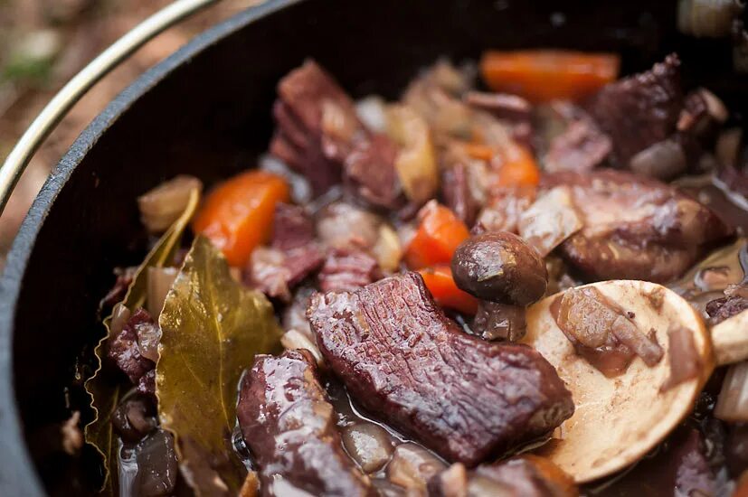 Оленина с брусникой. Тушеная оленина рецепты. Оленина блюда. Тушеное мясо говядина. Жаркое из оленины.