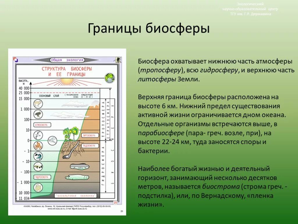 Границы биосферы ЕГЭ биология. Границы биосферы таблица 10 класс. Верхняя граница биосферы. Биосфера границы биосферы.