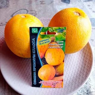 Дыня уральская