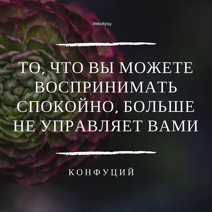 Способна ощущать. То что можете воспринимать спокойно больше не управляет вами. Контролируйте свои эмоции цитаты. Высказывания про контроль эмоций. То что вы можете воспринимать спокойно больше.