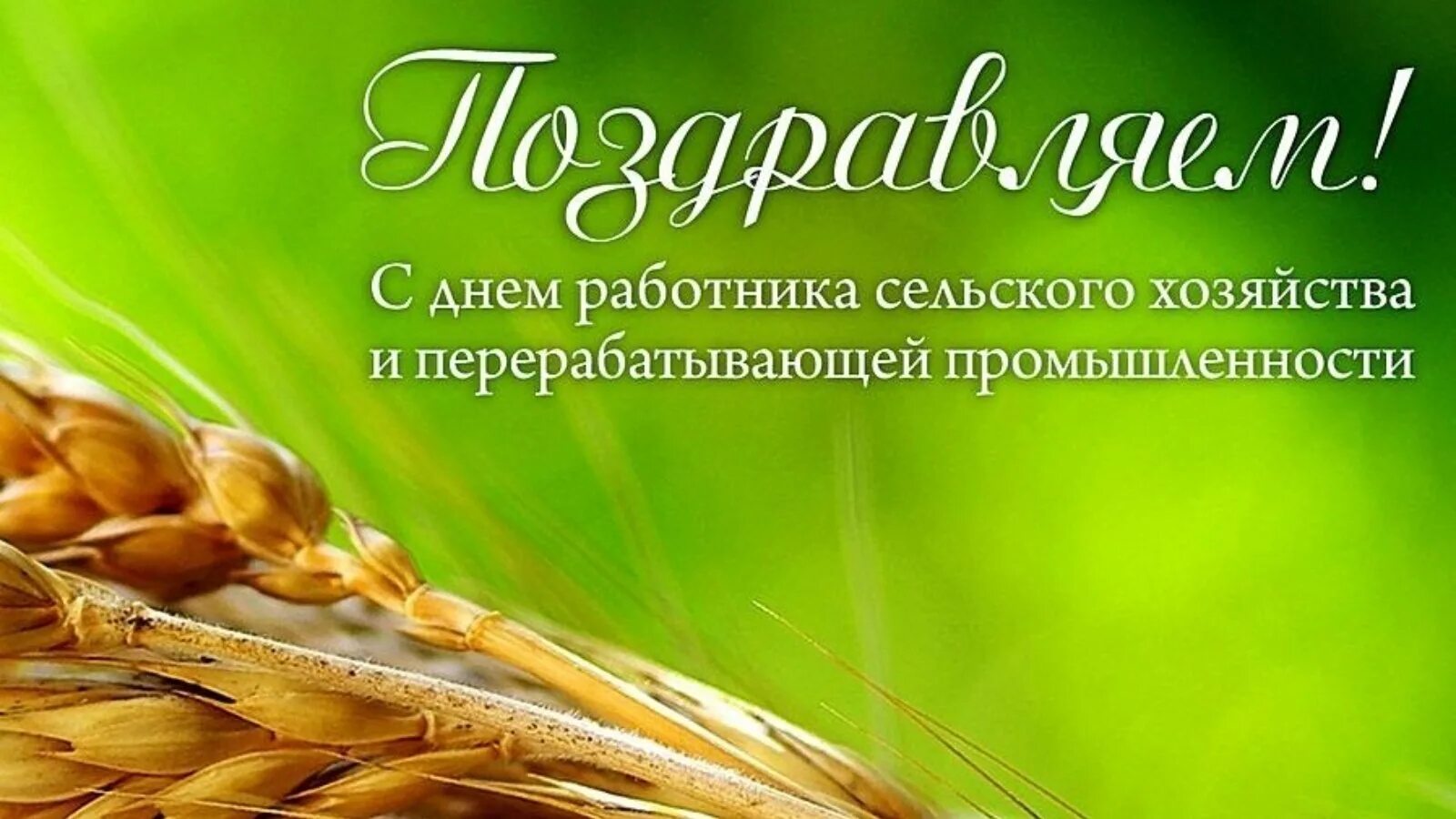 С днем работника сельского хозяйства. С днем работника сельского хозяйства и перерабатывающей. Дню работника сельского хозяйства и перерабатывающей промышленности. С днем работника СХ