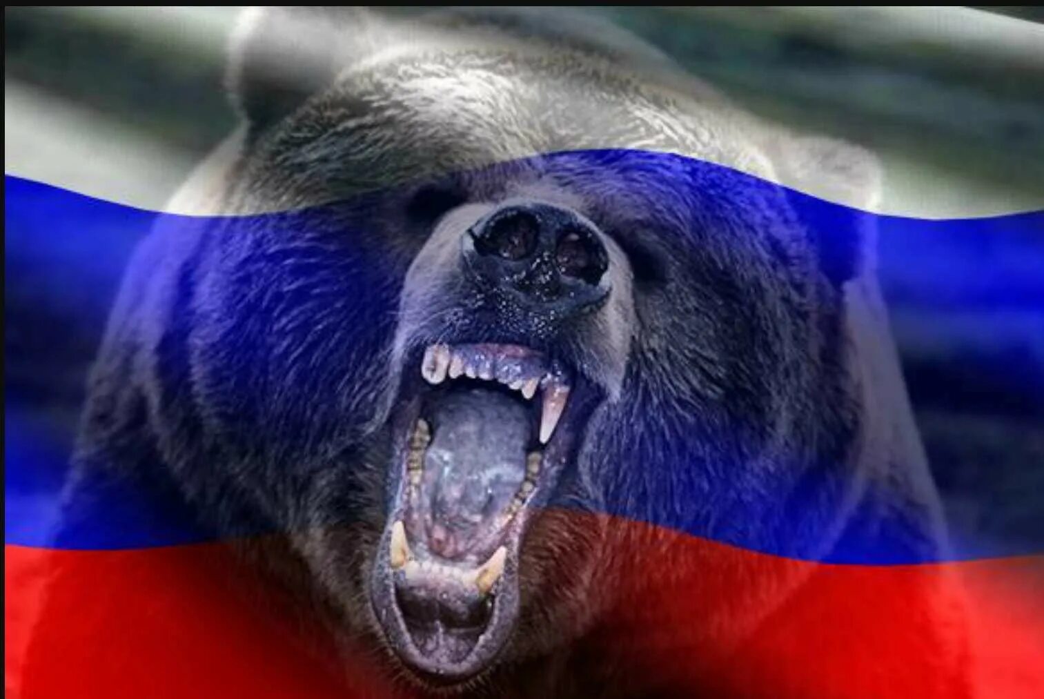 Русский медведь телефон. Русский медведь. Русский флаг с медведем. Медведтс флагом России. Медведь на фоне российского флага.