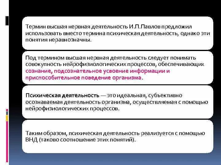 Термин высшая нервная деятельность предложил. Термин Высшая нервная деятельность. Термин ВНД предложил. Термин «Высшая нервная деятельность» (ВНД) предложил. Соотнести термины Высшая нервная деятельность.