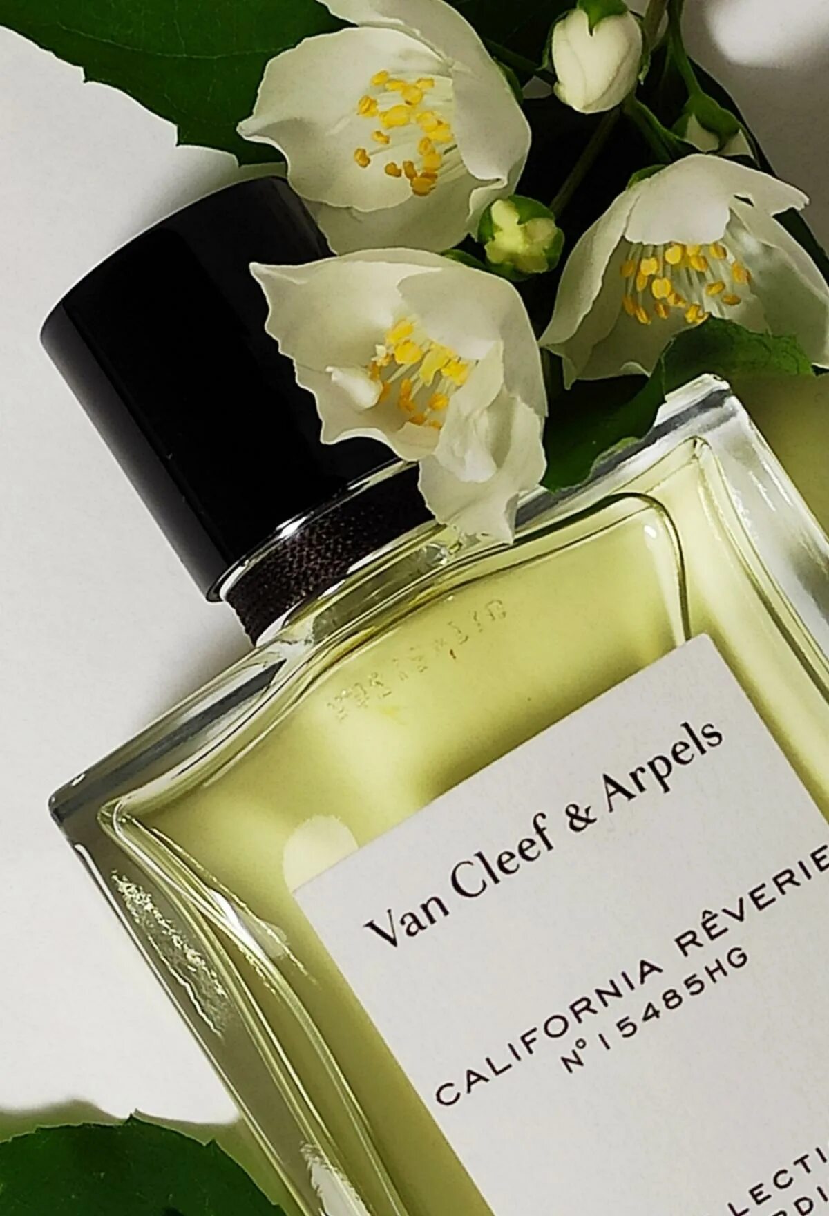 Ван клиф отзывы. Van Cleef Arpels California Reverie. Van Cleef & Arpels collection extraordinaire California Reverie. Ван Клиф Парфюм Калифорния. Нероли Амара от Ван Клиф.