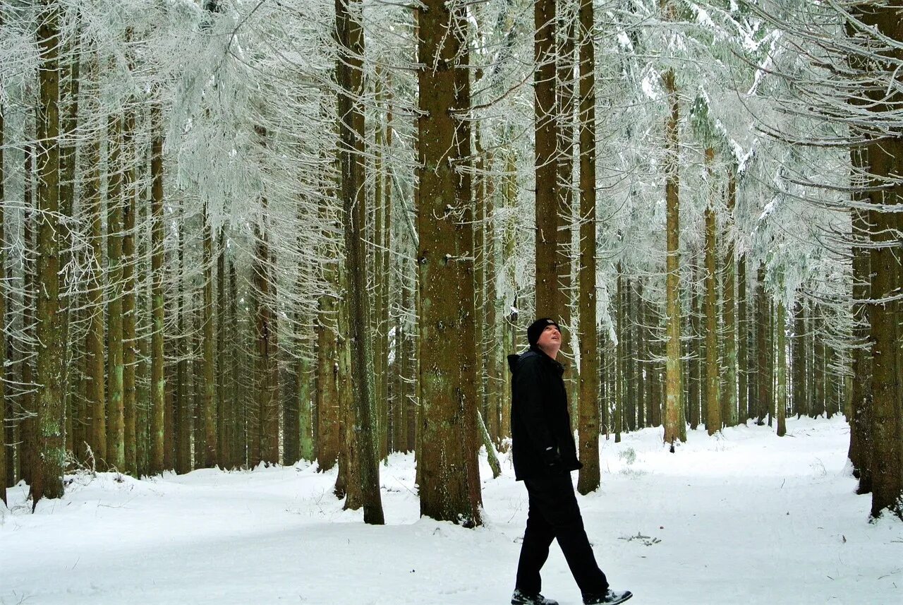 Walking in winter