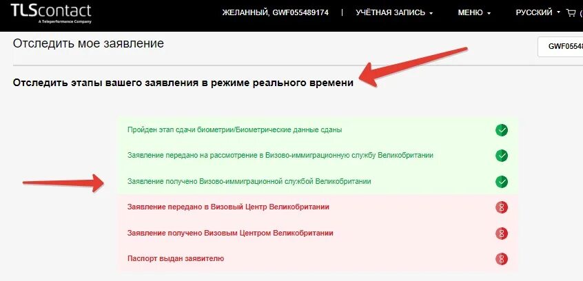 Inscan at mission статус визы. Статус заявления на визу. все статусы рассмотрения визы. как рассматривать консульский запрос. заявка на ускорение рассмотрения визового заявления.