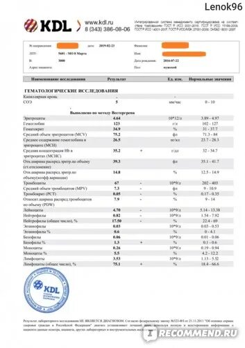 КДЛ бланк исследований. КДЛ анализы крови Казань. КДЛ Результаты. КДЛ Результаты анализов. Здоровье петербуржца результаты анализов крови личный кабинет