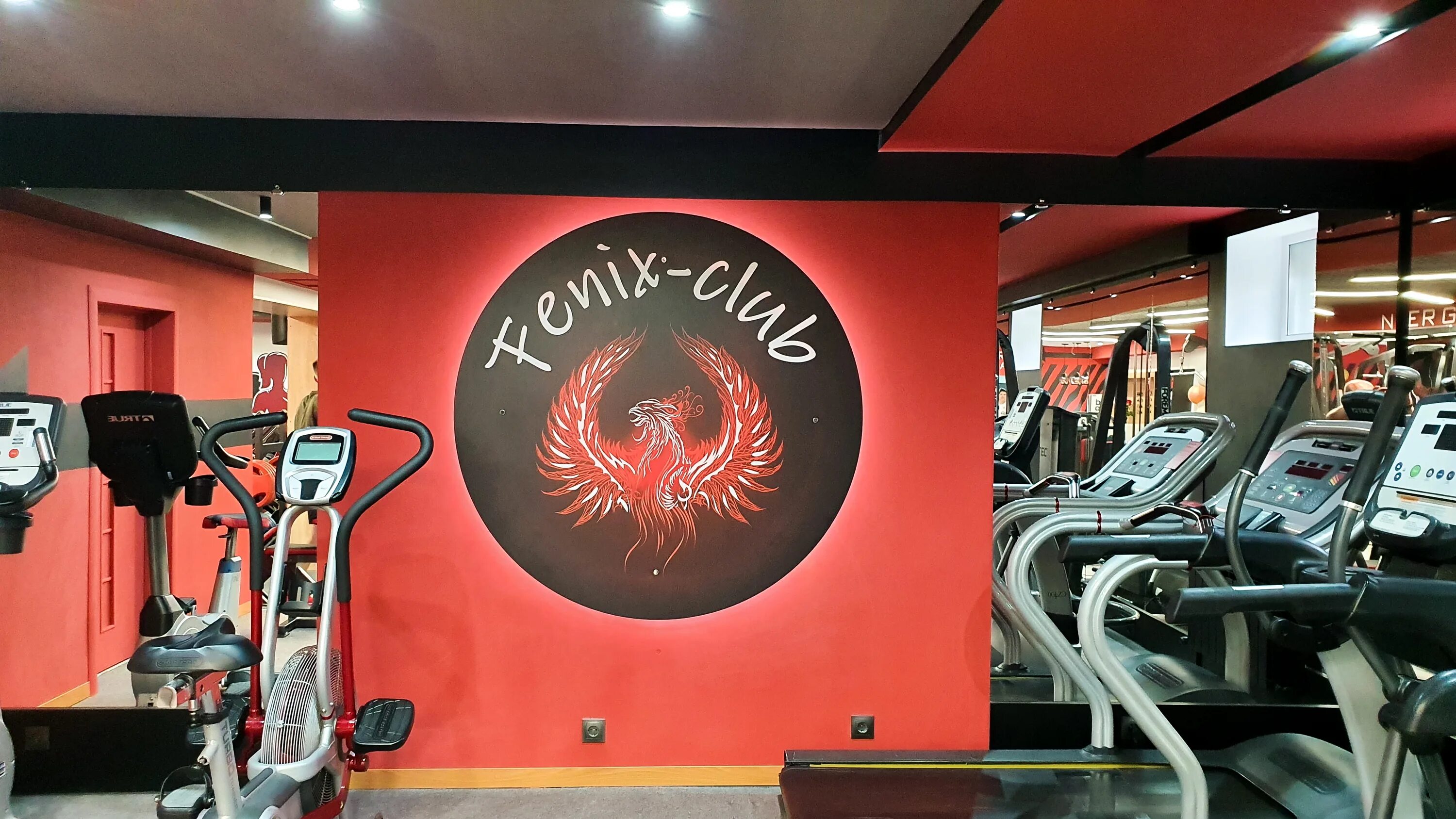 Phoenix club. Club phoenix петрозаводск. фитнес на улице. осп «клуб «феникс». vizitka game club fenix.