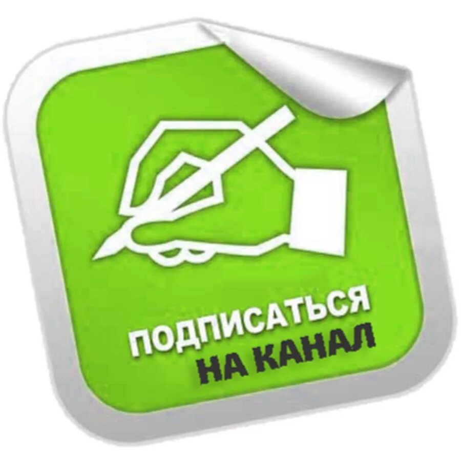 Хабаровск официальный сайт интернет магазин. Интернет магазин хабаровск. Дальвест. Днс хабаровск южный парк. Электронный магазин хабаровск.