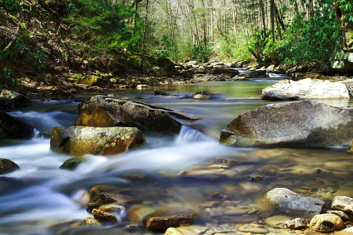 Звучание ручья. Creek. Creeks. Creek picture. Memphis Spring Creek.