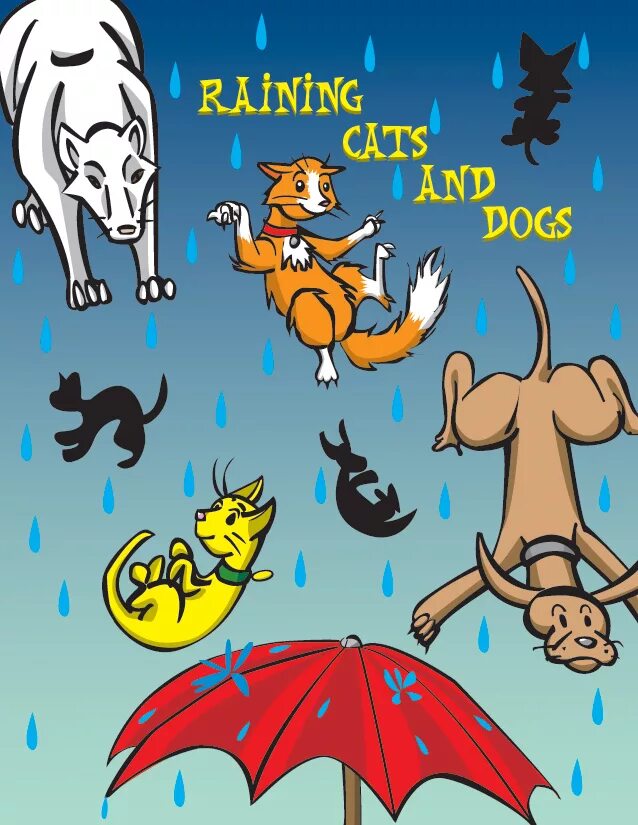 Дожди кэт. Rain Cats and Dogs идиомы. Идиомы raining Cats and Dogs. Идиома it's raining Cats and Dogs. Raining Cats and Dogs идиома.