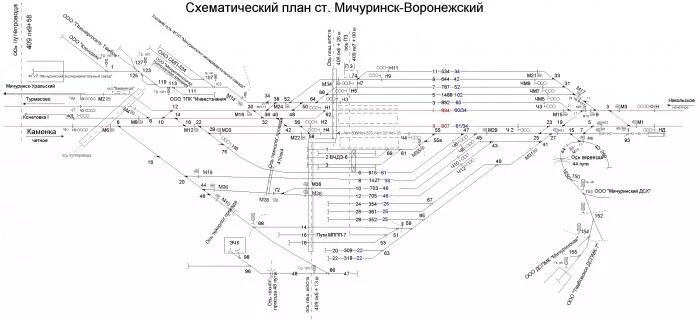 Жд расписание мичуринск. Вокзал Мичуринск-Уральский схема. Схема станции Мичуринск Уральский. Тра станции Мичуринск Воронежский. Нумерация путей на Мичуринск-Воронежском вокзале.