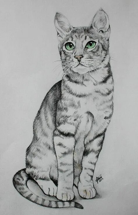 Tete De Chat Dessin - GreatestColoringBook.com