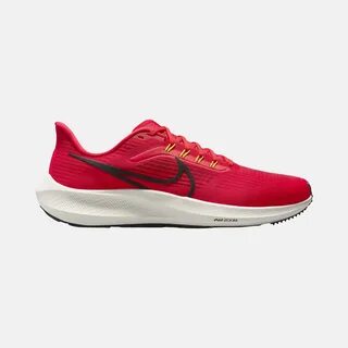 Air pegasus 39