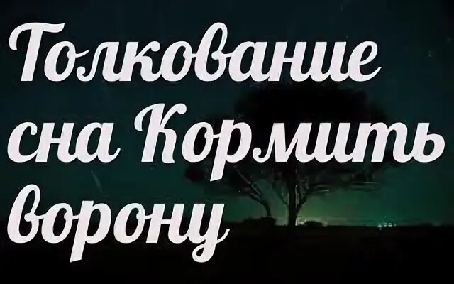К чему снится кормить во сне