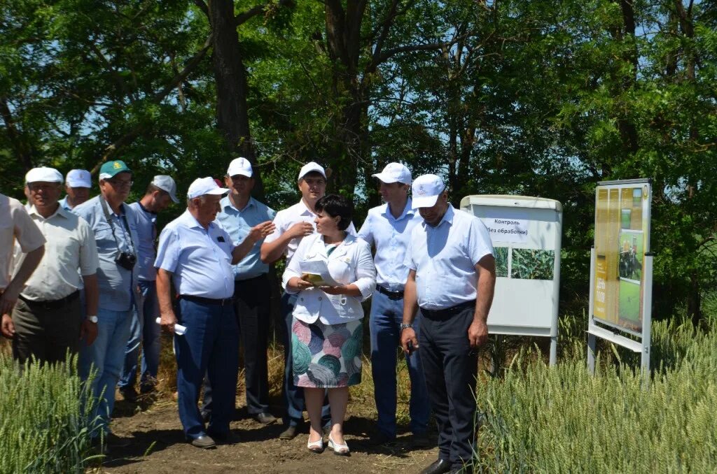 Погода ставропольский край новая кугульта. Кугульта Ставропольский край Грачевский район. Поля Буденновского района. Население Ставропольский край Грачёвский район село Когульта. Линейка 2022 в селе Кугульта Грачевского района Ставропольского края.