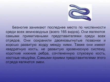 Представитель безногих