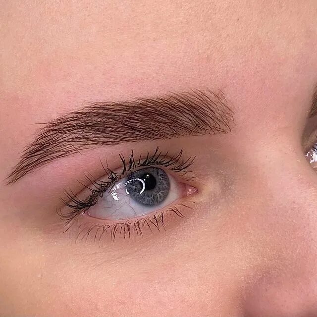 лучшие брови спб. лучшие бровисты спб. бровист спб. лучшие брови спб. бровки спб.