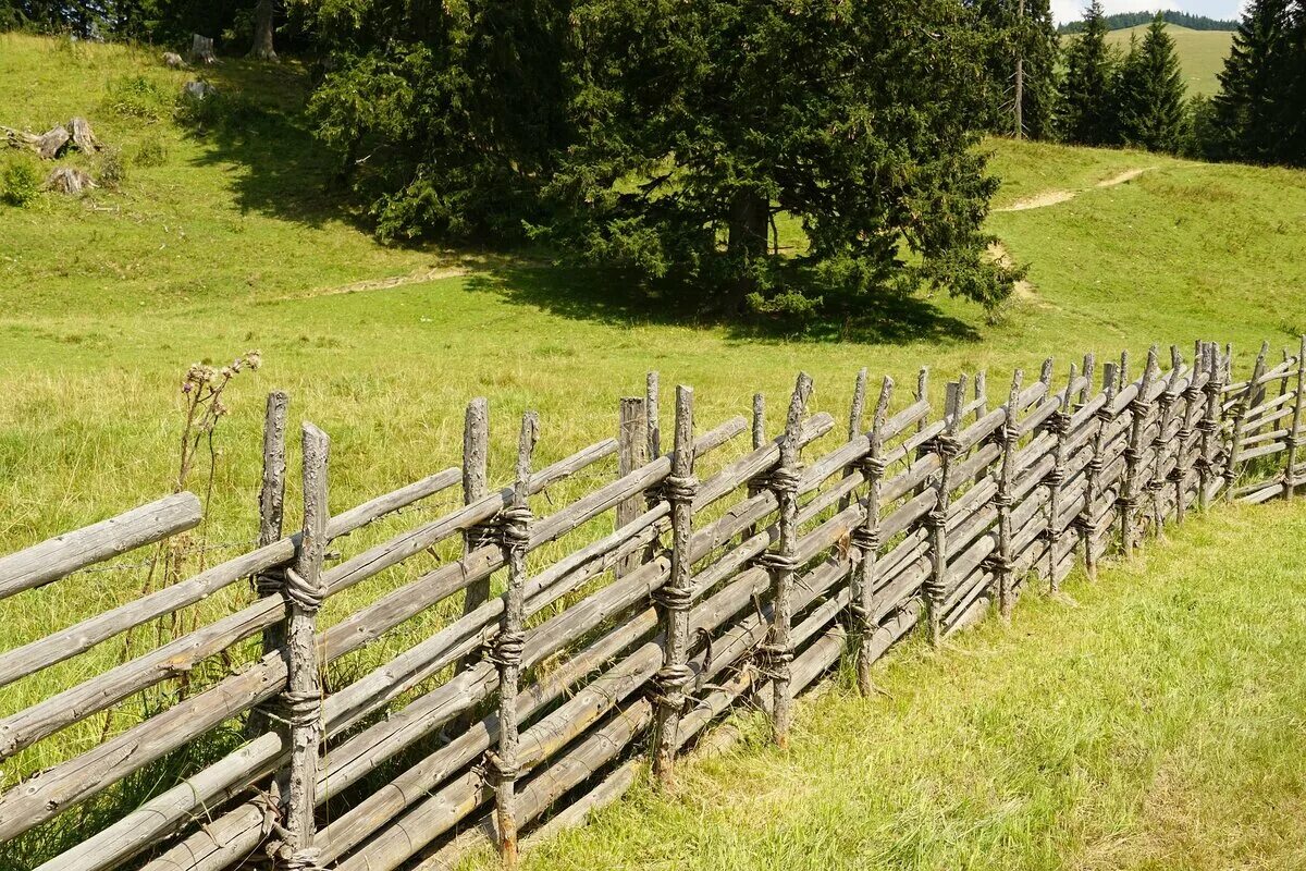 Sales and installation of fences in Witham with addresses, reviews and photos