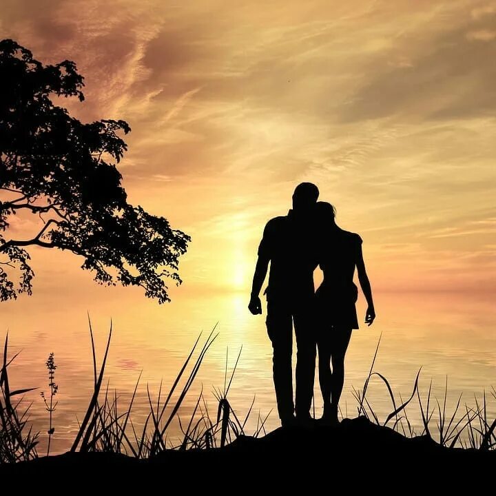 закат на обрыве. Longing for her. Longing for her. парень на коленях просит прощения. Longing for her.