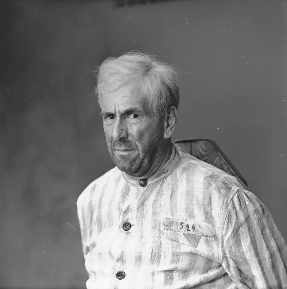 Пастор шлаг актер 17 мгновений. Отечественные актер сыгравший пастора шлага. Отечественные актер сыгравший пастора шлага. Ростислав плятт актер. Отечественные актер сыгравший пастора шлага.