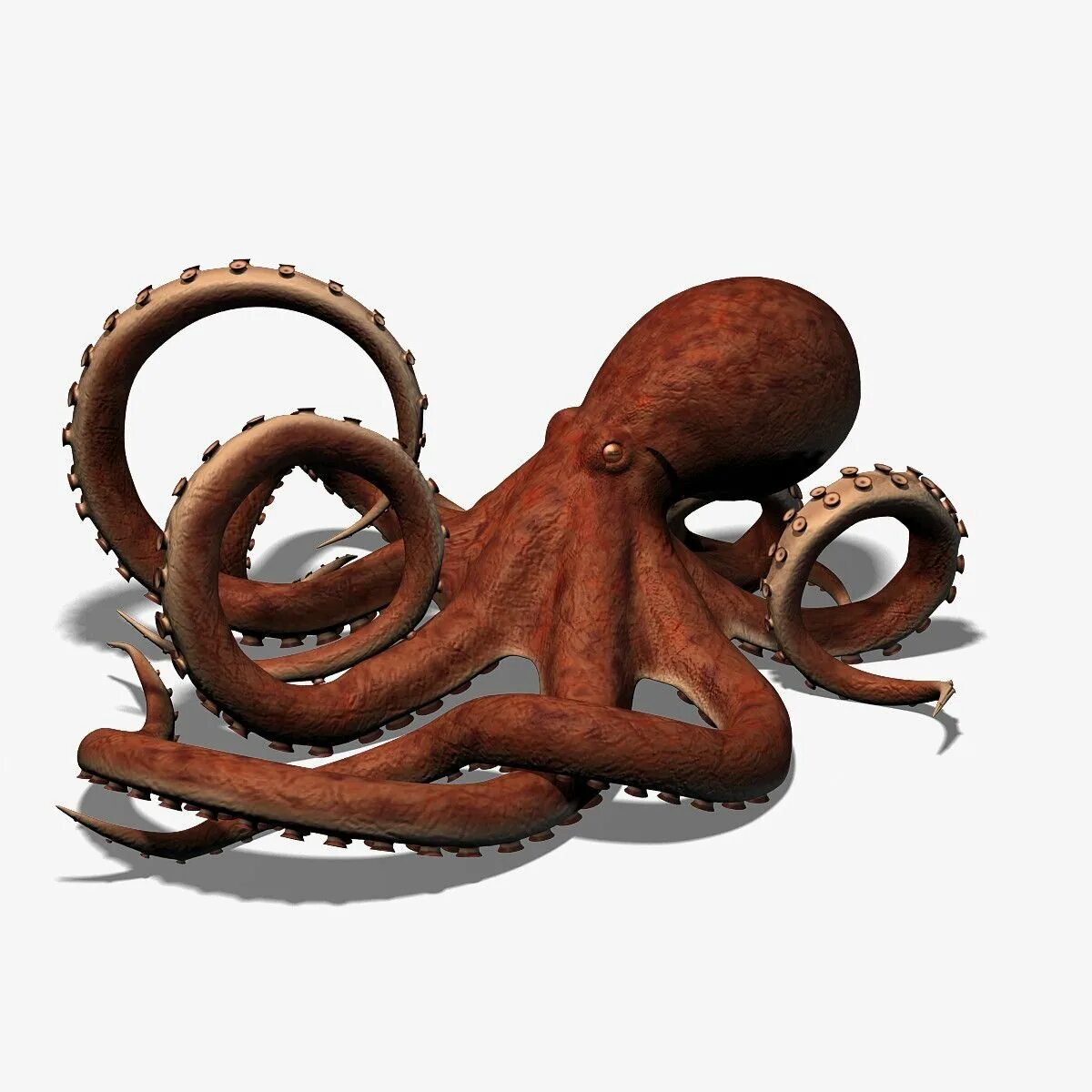 Осьминог Octopus 3d STL. Осьминог, Кракен, Спрут 3d. Кракен 3d. Игрушка Кракен 3d модель.