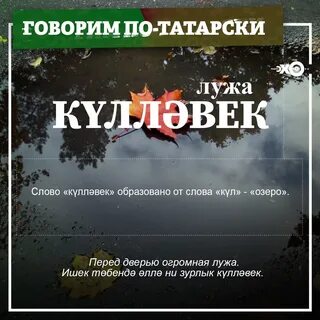 Эхо дня
