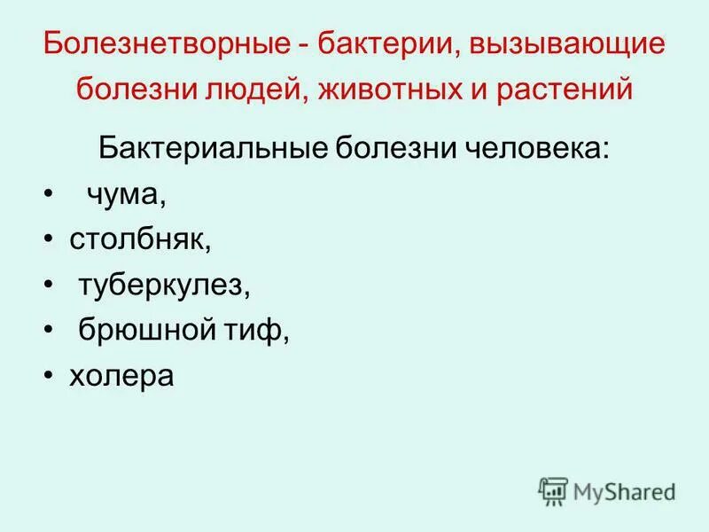 Бактерии примеры болезней