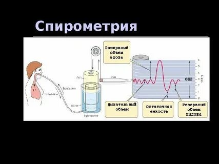 Спирометрия