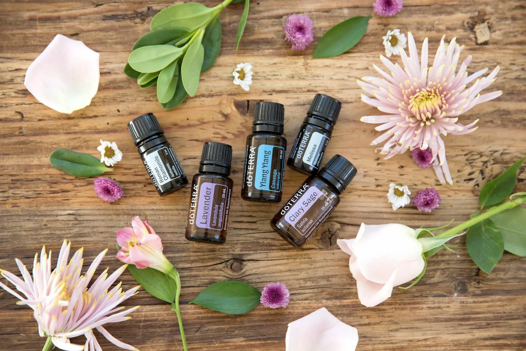 Аромамасла ДОТЕРРА. Эфирные масла DOTERRA. Эфирные масла ДОТЕРРА CPTG. Османтус ДОТЕРРА.