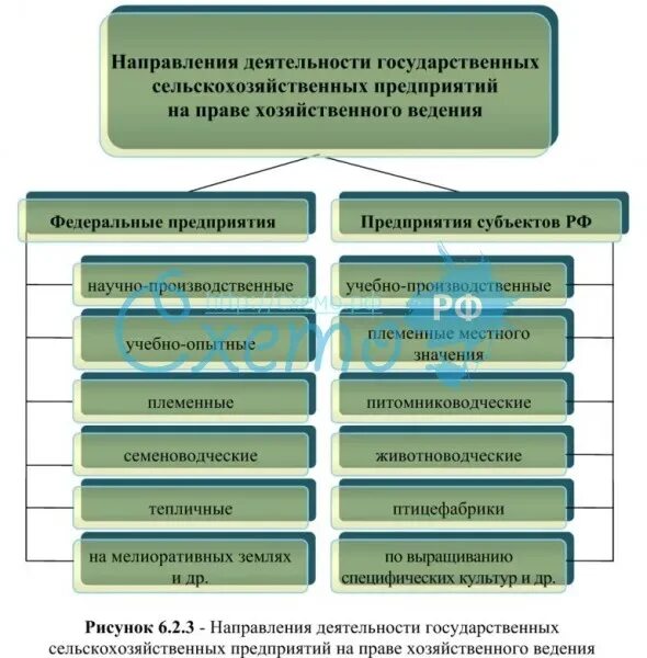 Направления деятельности сельского хозяйства. Направления сельскохозяйственной деятельности. Направление агропромышленной деятельности. Субъекты сельскохозяйственной деятельности.