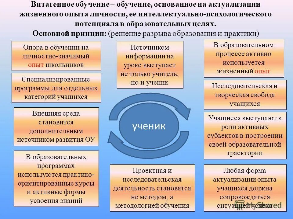 На каких принципах основано обучение. Дидактические принципы. Принцип наглядности в обучении. На каких принципах основано обучение. Принцип.