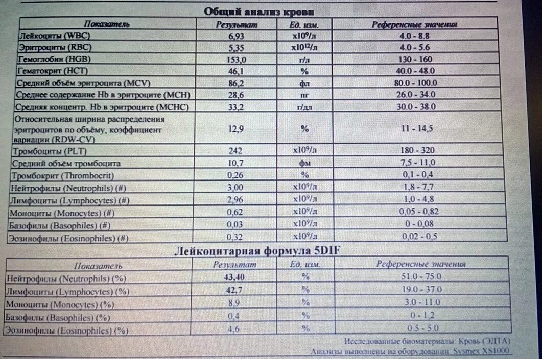 Анализ крови. Общий анализ крови показатели. Заключение анализа крови. Общий анализ крови пример. Анализы в медкарте