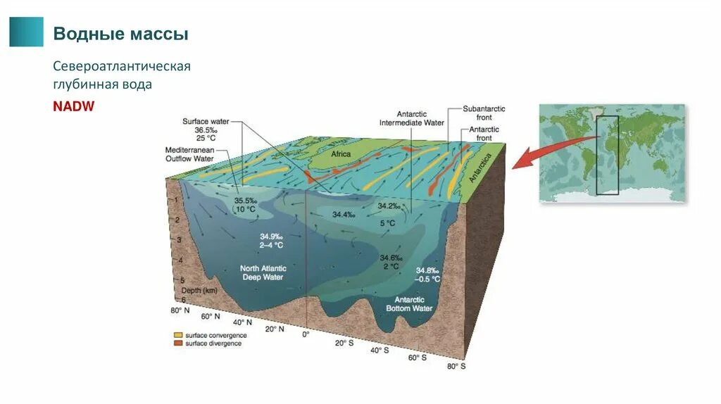 Экваториальные воды температура. Водные массы океана. Экваториальные водные массы. Поверхностные водные массы. Глубинные водные массы.