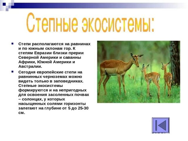 На равнинах число видов животных